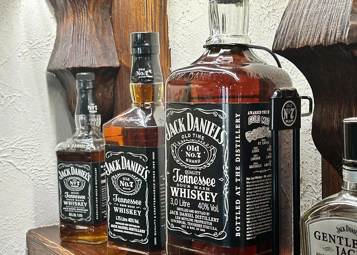 Han/Misafirhane Bachus Dąbrowa Górnicza