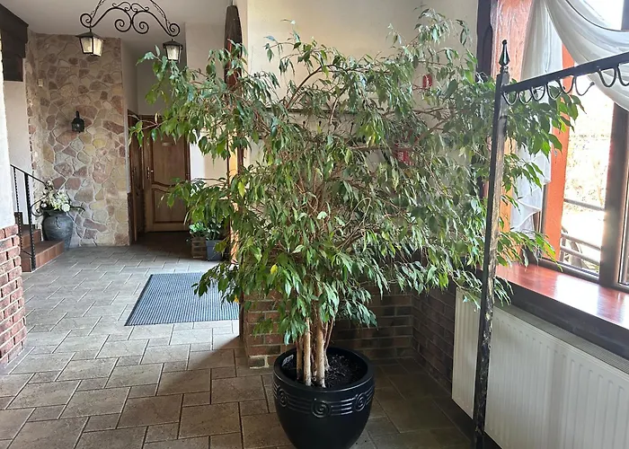 Han/Misafirhane Bachus 2*